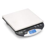 American Weigh Scales American Weigh AMW-1000 Compact Bench Scale, 1000 by 0.1gm