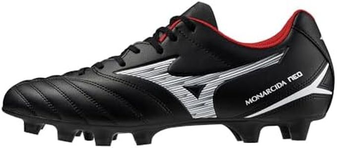 Mizuno Mon