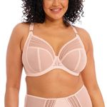 Elomi Women's Plunge Bra, Sheer, Pearl Blush, 44FF US