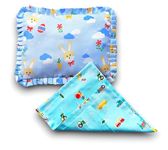 SAMSPIRE Mustard Seed Pillow for 0 to 1.5 Year Baby with 650 gram of Mustard Seeds, Soft and Durable, with Extra Cover (Blue and Green Sqaure)