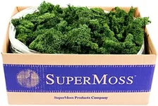 Super Moss (21710) Reindeer Moss Preserved, Forest Green, 3lbs