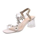 Momolaa Clear Chunky Block Low Heels for Women Square Open Toe Transparent Flower Strap Elastic Ankle Strap Pump Heel Sandal 6 Beige