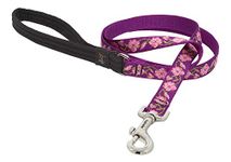 LupinePet Rose Garden Padded Handle Dog Lead, 3/4-Inch by 4-Feet