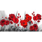 MXJSUA Red Poppies Flower Diamond Painting Kits, DIY Diamond Art Kits for Adults Beginner, 5D Gem Art Painting Kit with Round Diamonds Picture Crafts for Wall Decor Gifts(40x80cm)