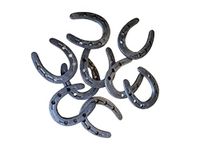 Mini Cast Iron Horseshoes 25 pc Set 2" x 1 3/4" for Decoration and Crafts