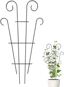 Gabbia per