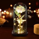 Beauty and The Beast Rose, Eternal Rose in Glass Dome, Enchanted Rose Glass with Black Base LED Lights, for Birthday, Wedding Anniversary, Thanksgiving, Christmas, Valentine's Day, Mother's Day