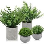 Artificial Plant For Table