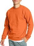 Hanes Men's EcoSmart Sweatshirt, Sa