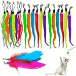 DLAND Cat Worm Toy Refill Cat Toycat Feather Toy Replacement Cat Wand Refill (20pcs)