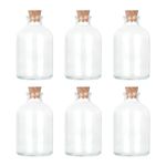 Magic Season Decorative Round Glass Bottles with Cork Stoppers (6 Pcs / 50 ml)