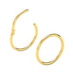 Body CAC Gold 2PCS-20G(0.8mm) 8mm Hinged Nose Rings,Medical Implant Grade 316L Surgical Steel Segment Clicker Hoop Piercing Lip Helix Cartilage Rook Ring Earrings