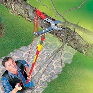 Wolf-Garten Adjustable Anvil Tree Loppers with Telescopic Handle