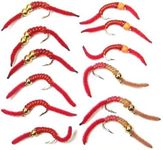 The Fly Fishing Place San Juan Worm Power Bead Trout Fly Assortment - 1 Dozen Wet Nymph Fly Fishing Flies - Hook Size 14-3 Each of 4 Patterns