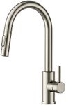 FORIOUS WELS Kitchen Taps, Kitchen 