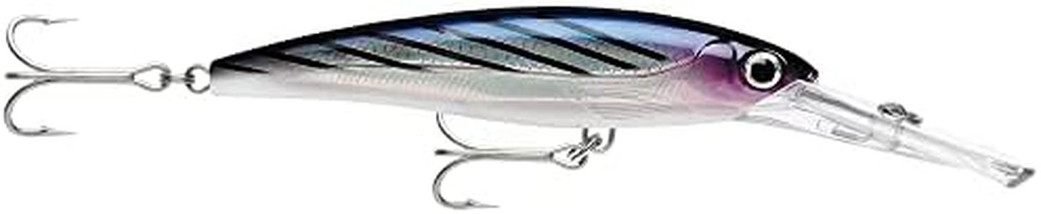 Rapala X-Rap Magnum Bonito Saltwater Fishing Lure, 16cm