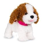 WEofferwhatYOUwant Interactive Robot Dog, Plush Goldendoodle Teddy with 12 Voice Commands - Speech Recognition, Walks Barks Sings Dances Push-Ups, Educational Talking Pet for Kids Seniors, Ages 3+