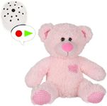 Little Pink Classic Teddy with 60 S