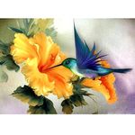 Flowers For Hummingbirds