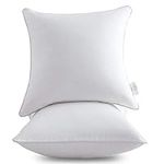Leeden 18 x 18 Pillow Inserts (Set 