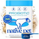 Native Pet Probiotic for Dogs - Vet Created Probiotic Powder for Dogs Digestive Issues - Probiotic Powder + Prebiotic + Bone Broth Powder Pet Food for Dog Stomach Relief - 232 Gram 6 Billion CFU 4.1oz