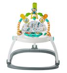 Fisher-Price Colourful Carnival Spacesaver Jumperoo