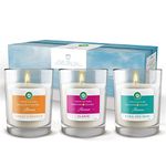 Airwick Aromatherapy Candles, Transparent, 220.0 gram (Pack of 3)