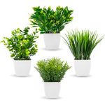 4 Pcs Mini Fake Plants in Pots, Small Artificial Plants Indoors, Greenery Grass, Eucalyptus, Rosemary, Plastic Faux Plants Potted for Office Desk Bedroom Kitchen Bathroom Home Decoration