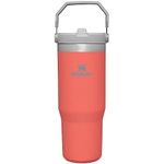 STANLEY IceFlow Flip Straw Insulated Stainless Steel Water Bottle with Straw 0.89L - Keeps Cold for 12+ Hours - Leakproof - BPA Free Travel Tumbler - Guava