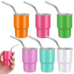 6 Pcs Mini Tumbler Shot Glass with Straw, 3oz Sublimation Funny Shot Glasses Set Stainless Steel Double Wall Vacuum Insulated Cups with Lids for Drinks Coffee Cocktails Wedding Birthday Party