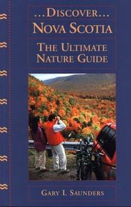 Discover N