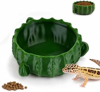 Bionic Plant Reptile Feeding Tray – Gecko Food Dish and Reptile Water Dish, Bearded DragonTank Accessories, Provide Clutter-Free Terrarium Feeding, Suitable for Lizards, Snakes, Turtles，Hamsters