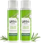 Yes To Tea Tree Scalp Relief Conditioner, Finishing Step To Calm Dry Itchy Scalp, Hydrates & Softens Hair With Long Lasting Moisture, With Tea Tree & Sage Oil, Natural, Cruelty Free, 12 Fl Oz 2PK