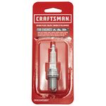 Craftsman CMXGZAM250017 Craftsman RC12YC Spark Plug