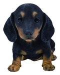 Vivid Arts - Pet Pals Black/Brown Dachshund Puppy Home or Garden Decoration (PP-DACH-F)