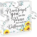 Cituarko Coworker Leaving Gifts for Women - Inspirational Desk Decor Never Forget the Difference You Make Sign Plaque for Retirement Farewell Going Away Goodbye Gifts for Men