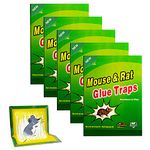 Mouse Trap Pest Trap Rat Traps Rodents Snakes Cockroaches Spiders and Other pests(5 Packs)