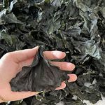 Kelp Head Dry Sea Leader Dried Kelp Knot Pure Wild Dried Kelp Fronds Dried Kelp Seaweed Dried Kelp Kombu Kelp,Dried and Compressed Kelp Shreds,Wakame,Tender,Kelp,Dried Kelp Shreds,Seafood (16 oz)