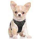 rabbitgoo Dog Harness, No-Pull Pet 