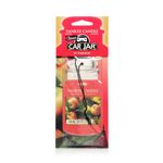 Yankee Candle Classic Paper Car Jar Hanging Odor Neutralizing Air Freshener, Macintosh Scent