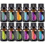 Top Essential Oils Set and Essential Oils Blends - Top 12/0.33oz (10ml) Essential Oils and Blends for Diffuser, Humidifier, Massage and Soul - Perfect Starter Kit Gift - Book & Life Recipes