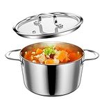 Lio SHAAR Stainless Steel Induction Pot with Glass Lid, 20cm 3L Soup Pot Suitable for 2-3 Persons, Cooking Pot Compatible with All Heat Sources - Silver