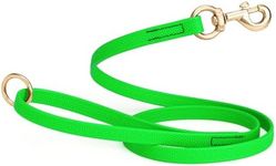 Viper Biothane Dog Leash with No-Slip Pebble Emboss - Waterproof Dog Lead for Training, Beach, Hiking - Great for Play, Camping, or Backyard - Solid Brass Hardware, 5 ft, Tropical Green
