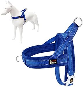 Plutus Pet