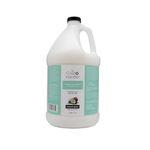 The Coat Handler Undercoat Control Deshedding Dog Conditioner Coconut Milk Fragrance, 1 Gallon - Combats and Reduces Shedding, Undercoat Removal, Fights Excessive Hair Shed, Omega 3 and 6 Rich