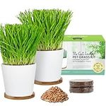 The Cat Ladies Cat Grass Kit - Cat Grass for Indoor Cats - Catnip Seeds, Soil, and Ceramic Planters with Trays - Cat Nip Plant Planter - Catgrass Seeds to Grow Kitty Safe Plants
