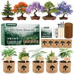 Crafts for Adults - Bonsai Tree Starter Kit with 5 Unique Japanese Trees | Complete DIY Gardening Kit for Birthday | Gifts for Women, Men, Mom, Dad, Plant Lovers