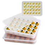 Boseen Egg Holder for Refrigerator, Deviled Egg Containers Large Plastic Egg Tray Carrier for Fridge Kitchen Egg Storage Compact Stackable Durable Clear with Lid, 24 Egg Tray, 2 PCS