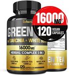 16000 Mg Organic Green Tea Extract Supplement for Women & Men with Garcinia Cambogia, White Kidney Bean Blend - Support Body Balance, Heart & Immune Health - 120 Vegan Capsules for 2 Month Supply