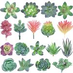KUUQA 18 Pack Artificial Succulent Plants Unpotted Faux Flower Succulents Mini Echeveria Picks Bulk Stems for Lotus Landscape Decorative Home Indoor Fairy Garden Decorations
